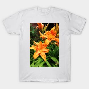 Orange daylily T-Shirt